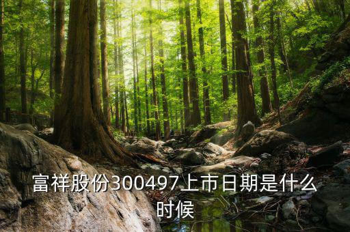 富祥股份300497上市日期是什么時候