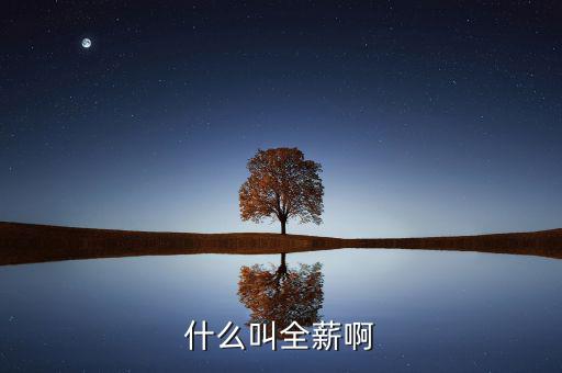 全薪是什么意思，咨詢一下全薪指的是基本工資獎(jiǎng)勵(lì)嗎