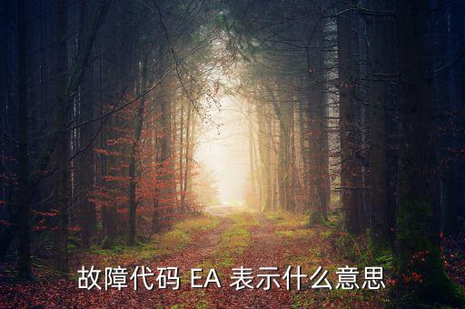 華泰ea什么意思，故障代碼 EA 表示什么意思