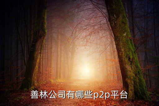 善林公司有哪些p2p平臺(tái)