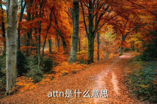 丙方是什么意思，attn是什么意思