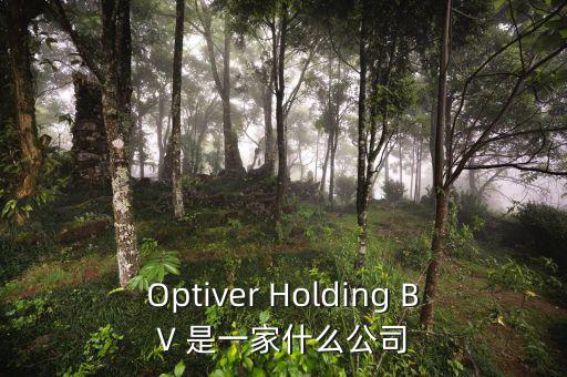 什么是nyme原油，Optiver Holding BV 是一家什么公司