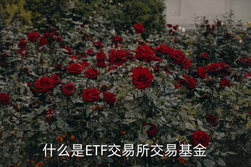 什么是ETF交易所交易基金