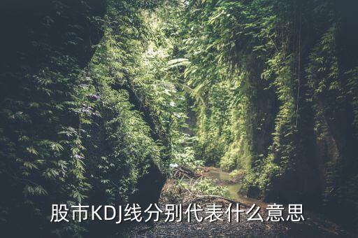 股票中的kdj代表什么，股票指標(biāo)的KDJ是什么意思