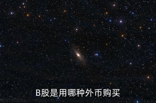 b股分紅支付什么貨幣，B股是用哪種外幣購買