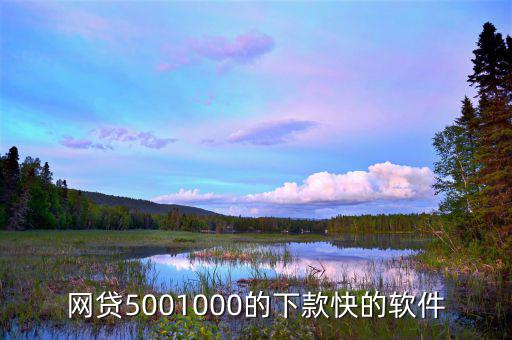 什么平臺(tái)能快速借500，網(wǎng)貸5001000的下款快的軟件