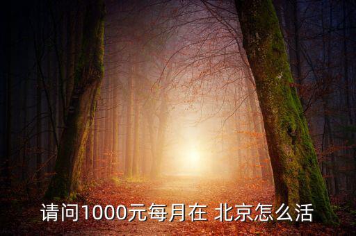 請問1000元每月在 北京怎么活