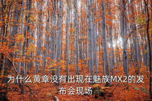 為什么黃章沒有出現(xiàn)在魅族MX2的發(fā)布會(huì)現(xiàn)場