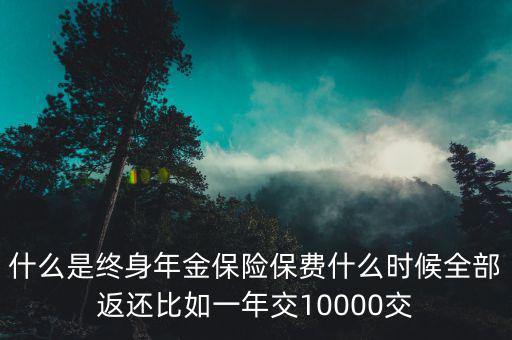 什么是終身年金保險(xiǎn)保費(fèi)什么時(shí)候全部返還比如一年交10000交