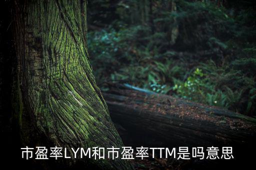 市盈率LYM和市盈率TTM是嗎意思