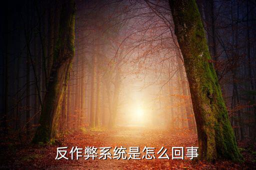 反作弊系統(tǒng)是怎么回事