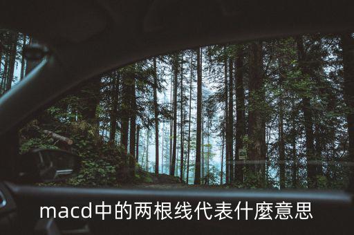 macd2條線怎么看,技術(shù)指標(biāo)的含義