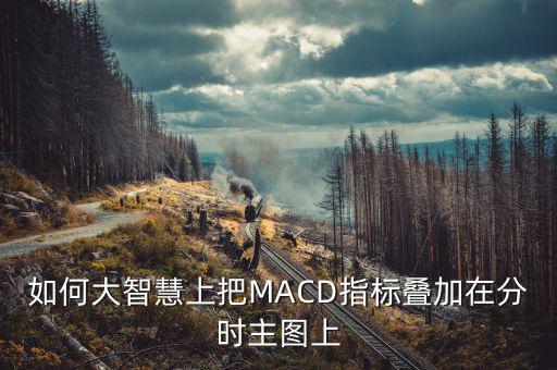 如何大智慧上把MACD指標(biāo)疊加在分時(shí)主圖上