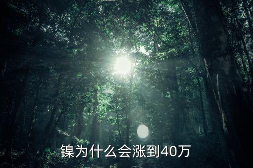 鎳為什么會漲到40萬