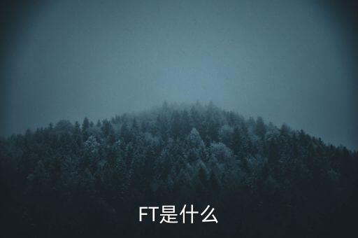 什么是FT調(diào)查，F(xiàn)T是什么