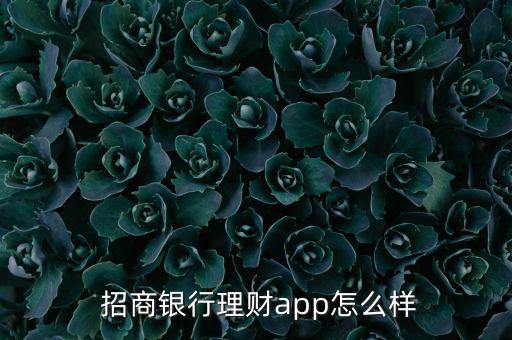 招商行全額寶怎么樣,招商銀行理財(cái)app有什么好處?