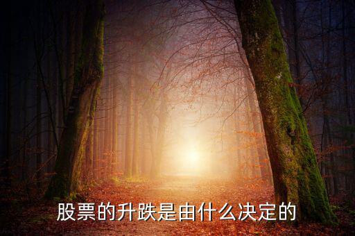 股票根據(jù)什么跌升，股票的升跌是由什么決定的