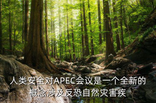 2014apec峰會簽署了什么文件，亞洲和太平洋地區(qū)經(jīng)濟合作會議簡稱 APEC