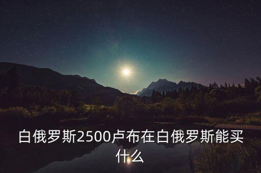 白俄羅斯盧布50可以買什么，白俄羅斯2500盧布在白俄羅斯能買什么