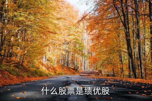 什么是績(jī)效股票，什么叫成長(zhǎng)股和績(jī)效股