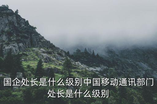 國(guó)企處長(zhǎng)是什么級(jí)別中國(guó)移動(dòng)通訊部門處長(zhǎng)是什么級(jí)別