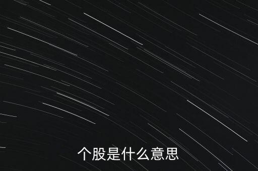 個股是什么意思