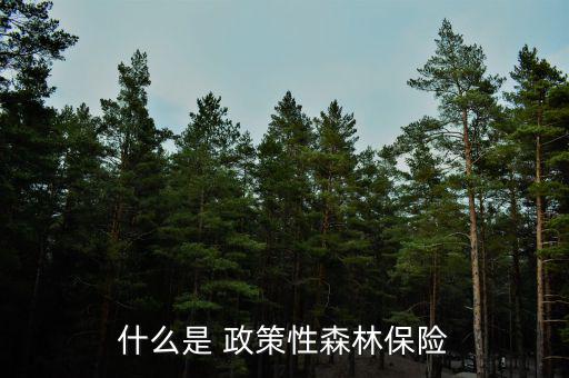 什么是 政策性森林保險