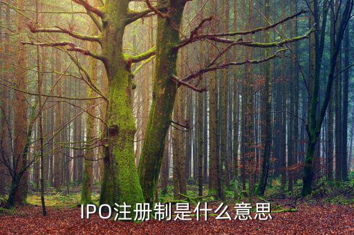 ipo注冊(cè)制是什么意思，IPO注冊(cè)制是什么意思和審批制有什么區(qū)別