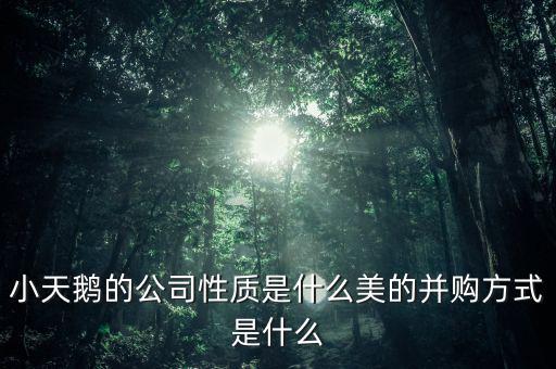 小天鵝的公司性質(zhì)是什么美的并購方式是什么