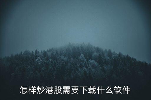 港股資金進出用什么軟件，現(xiàn)在內地的炒股滬港通用什么軟件