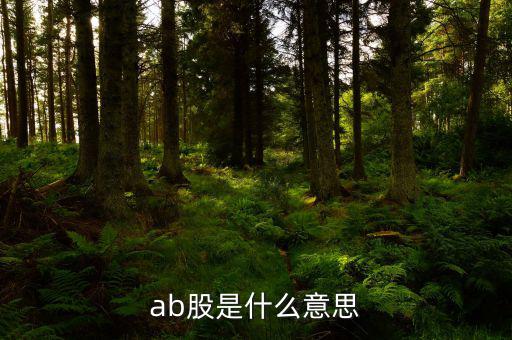 ab股什么意思，AB股是什么意思