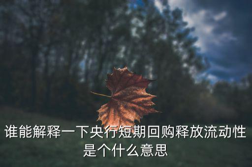 誰能解釋一下央行短期回購釋放流動性是個(gè)什么意思