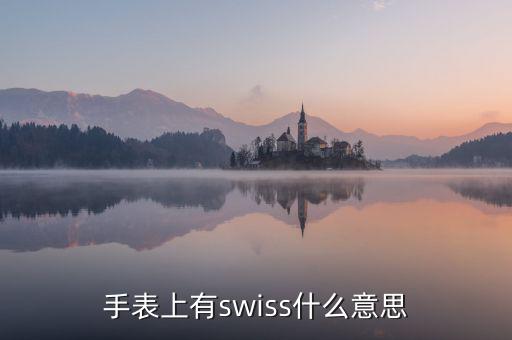 歐行手表什么意思，手表上有swiss什么意思