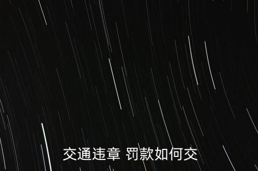 怎么能交交通罰款