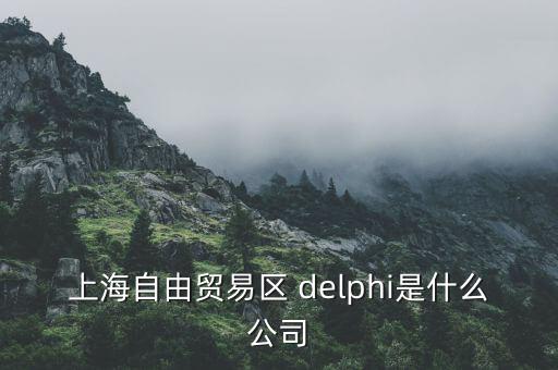 上海自由貿易區(qū) delphi是什么公司