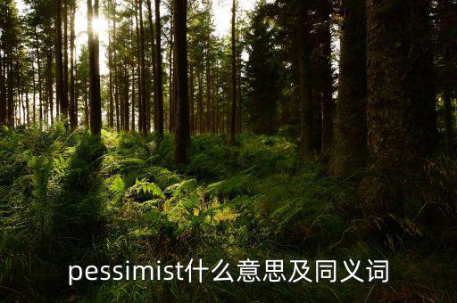 pessimist什么意思及同義詞