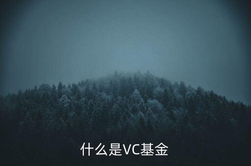 vc基金是什么，什么叫VC基金