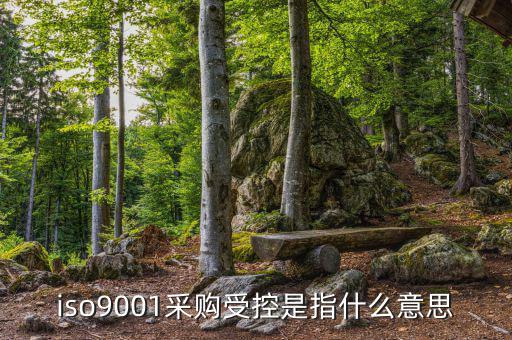 iso9001采購(gòu)受控是指什么意思