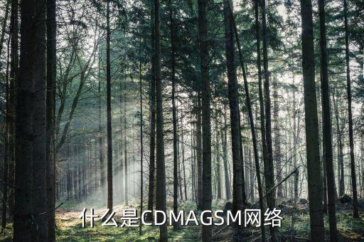 電信cdma是什么網(wǎng)絡(luò)，cdma是什么網(wǎng)絡(luò)