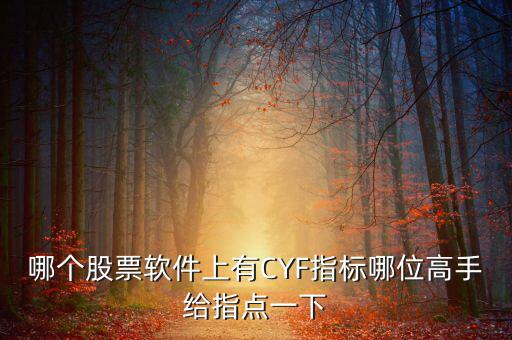 哪個股票軟件上有CYF指標哪位高手給指點一下