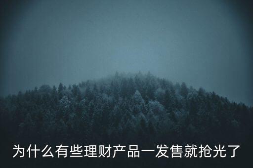 為什么有些理財(cái)產(chǎn)品一發(fā)售就搶光了