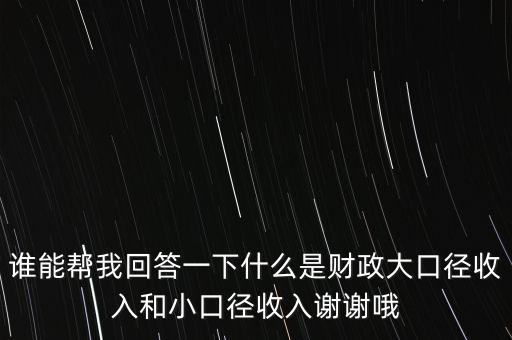 誰(shuí)能幫我回答一下什么是財(cái)政大口徑收入和小口徑收入謝謝哦