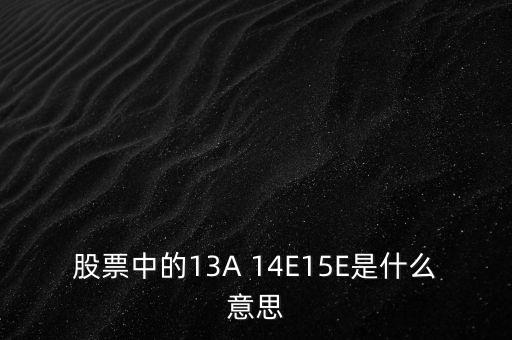 股票中的13A 14E15E是什么意思