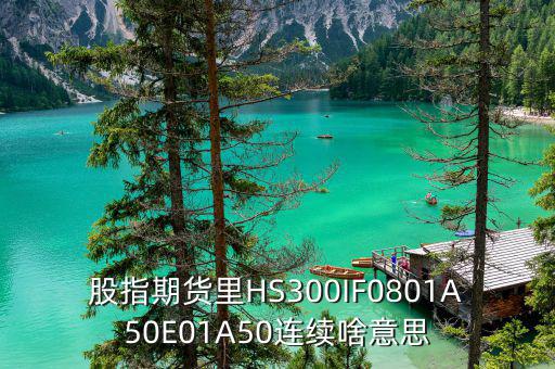 什么是hs300板塊，HS300是什么期貨合約