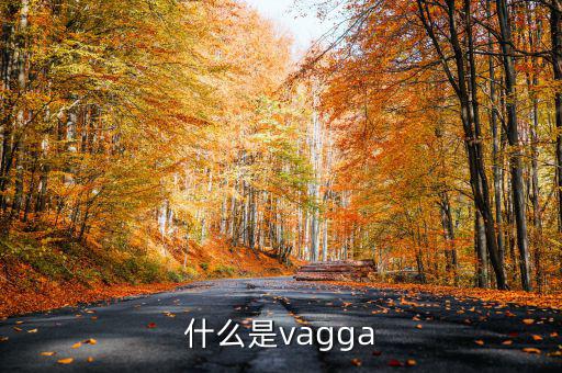 什么是vagga