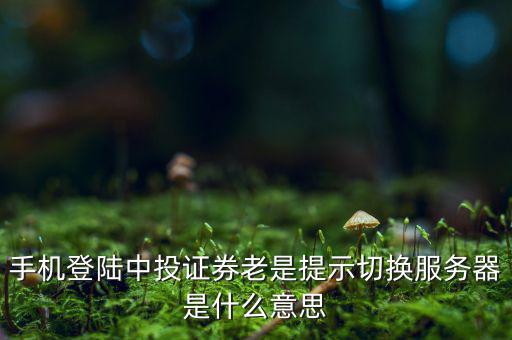 手機登陸中投證券老是提示切換服務(wù)器是什么意思