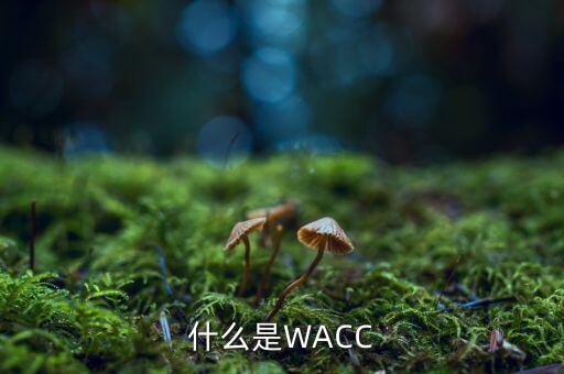 什么是WACC