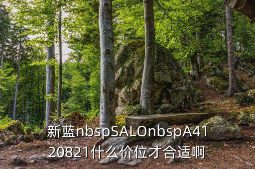 久遠(yuǎn)銀海什么價位才賣，新藍(lán)nbspSALOnbspA4120821什么價位才合適啊