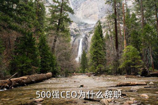 羅建川為什么辭職，500強(qiáng)CEO為什么辭職