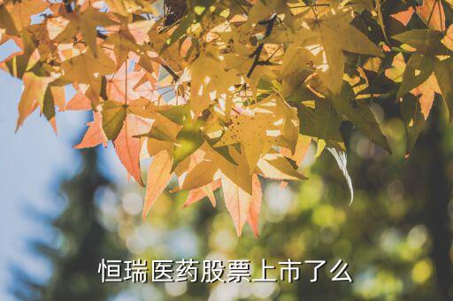 恒瑞醫(yī)藥股票上市了么